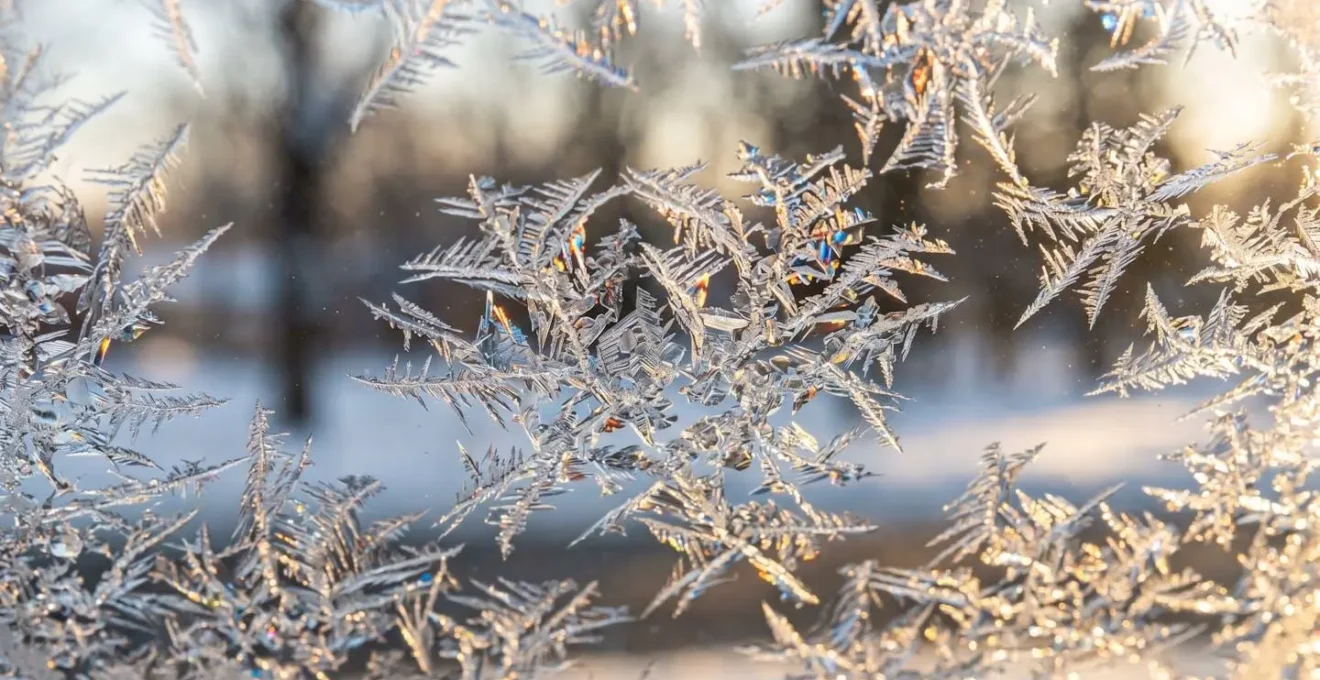 Gros plan sur pare-brise givré avec motifs de cristaux de glace naturels